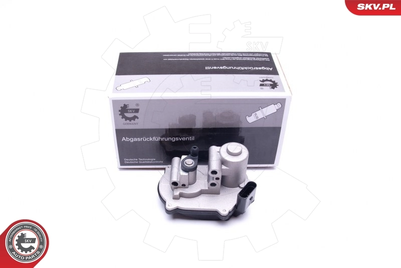 Control, swirl flaps (induction pipe)